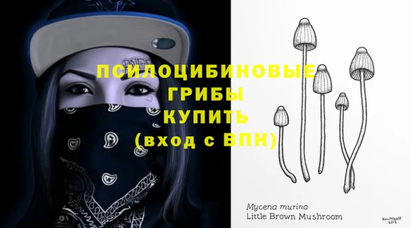 каннабис Алзамай