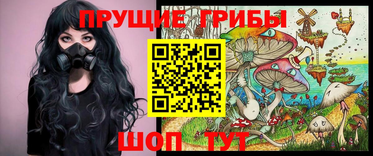 Добрянка  Псилоцибиновые грибы Magic Shrooms  Вход с VPN 